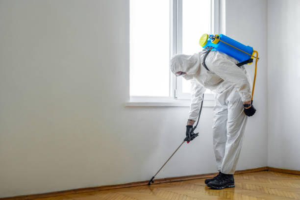 Best Affordable Pest Control Services  in Hermiston, OR