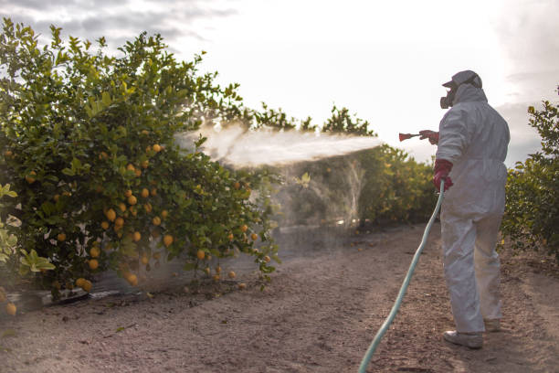 Reliable Hermiston, OR Pest Control Solutions
