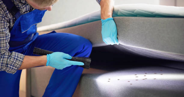 Best Ant Control Services  in Hermiston, OR