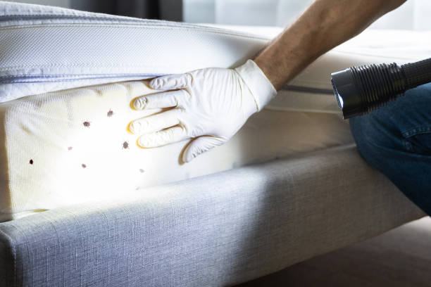  Hermiston, OR Pest Control Pros