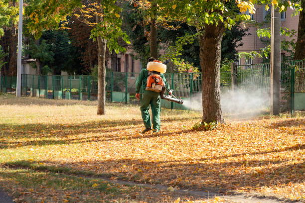 Best Wasp Removal Services  in Hermiston, OR