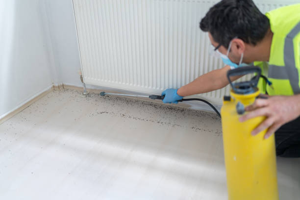 Best Best Pest Control Companies  in Hermiston, OR