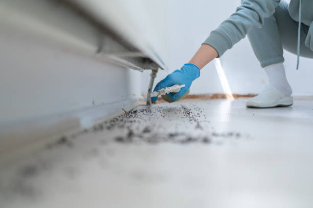 Pest Prevention Services in Hermiston, OR