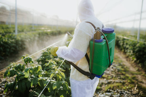 Best Pest Removal Services  in Hermiston, OR